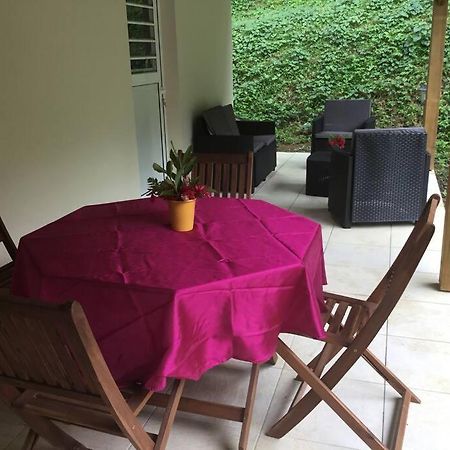 Les Lucioles 1 Beau T2 En Foret Tropicale Avec Acces Piscine Saint-Joseph Ngoại thất bức ảnh