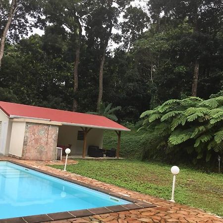 Les Lucioles 1 Beau T2 En Foret Tropicale Avec Acces Piscine Saint-Joseph Ngoại thất bức ảnh
