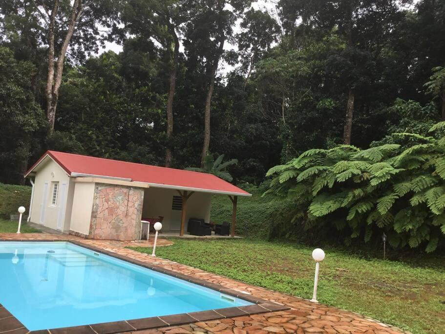 Les Lucioles 1 Beau T2 En Foret Tropicale Avec Acces Piscine Saint-Joseph Ngoại thất bức ảnh