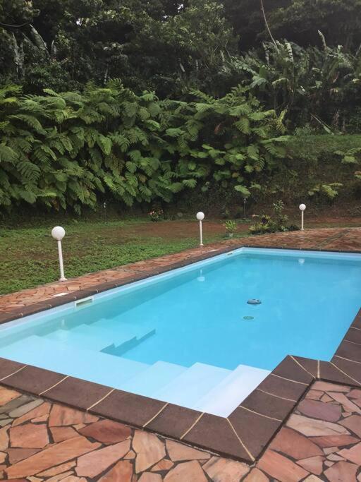 Les Lucioles 1 Beau T2 En Foret Tropicale Avec Acces Piscine Saint-Joseph Ngoại thất bức ảnh