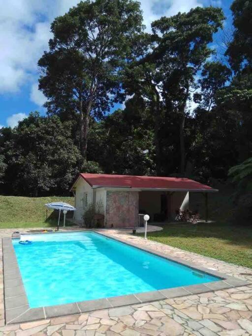 Les Lucioles 1 Beau T2 En Foret Tropicale Avec Acces Piscine Saint-Joseph Ngoại thất bức ảnh